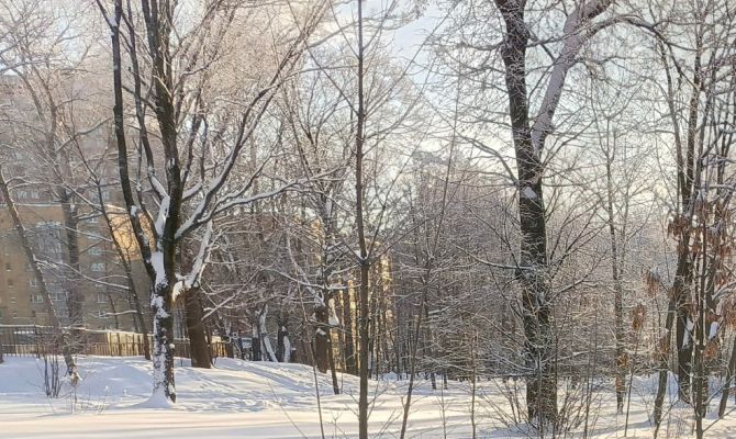 Снегосвалки обнаружили на территории Рогожинского парка Тулы