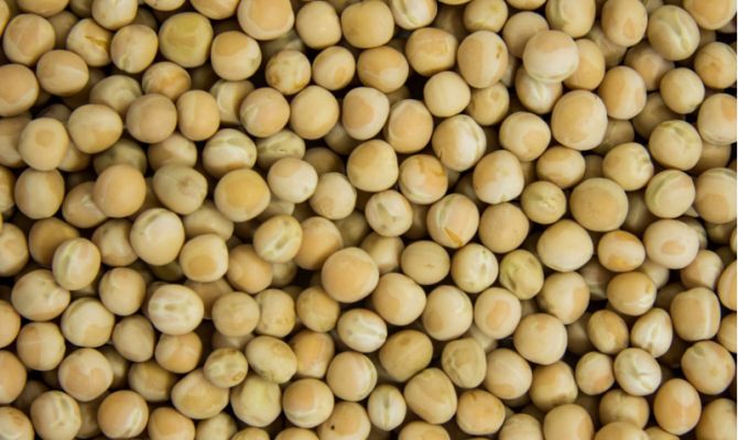 Декларацию тульского предприятия на горох признали недействительной