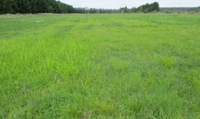 Житель Большой Тулы может лишиться своего земельного участка 