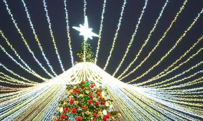 Половина туляков не будет смотреть новогодние шоу