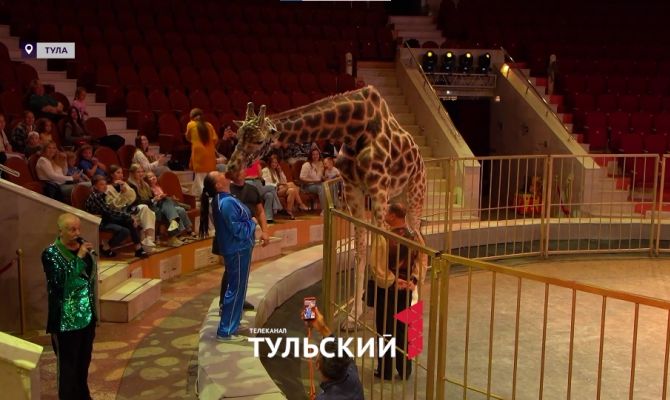 В Тульском цирке зрителей ждут поцелуи от жирафа и собаки-футболисты