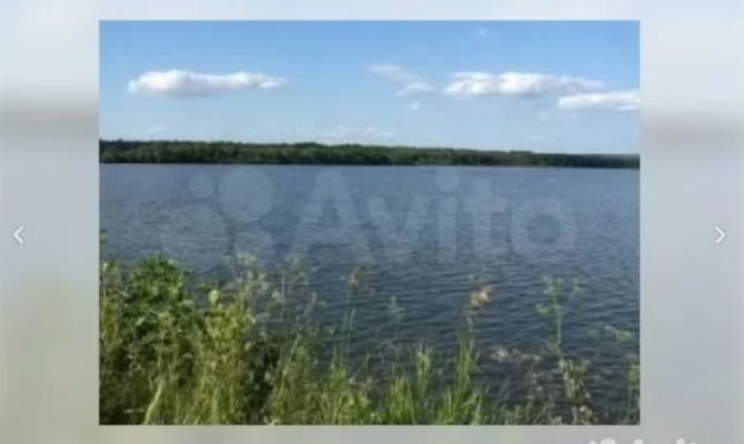 В Тульской области продают пруды бывшего «Туларыбхоза» за 95 млн рублей