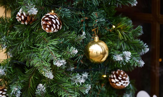 Тулякам напомнили правила выбора новогодних гирлянд и игрушек
