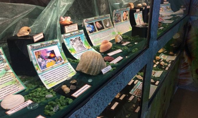 Морские сувениры: в тульском экзотариуме рассказывают «Все о ракушках»