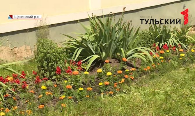 Как в усадьбе Льва Толстого прошла акция «Цветы для Ясной Поляны»