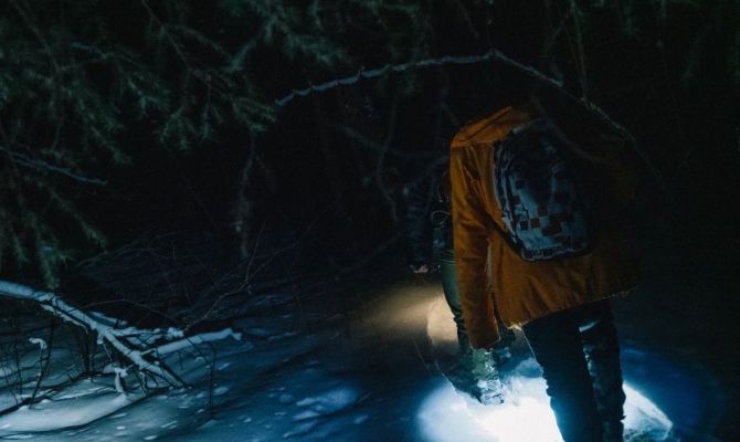 Волонтеры рассказали трогательную историю спасения туляка