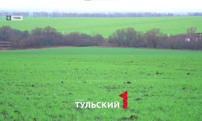 Погода бунтует: чем грозит рекордный плюс