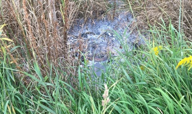 Жители Щекино пожаловались на ужасный запах от канализационного болота