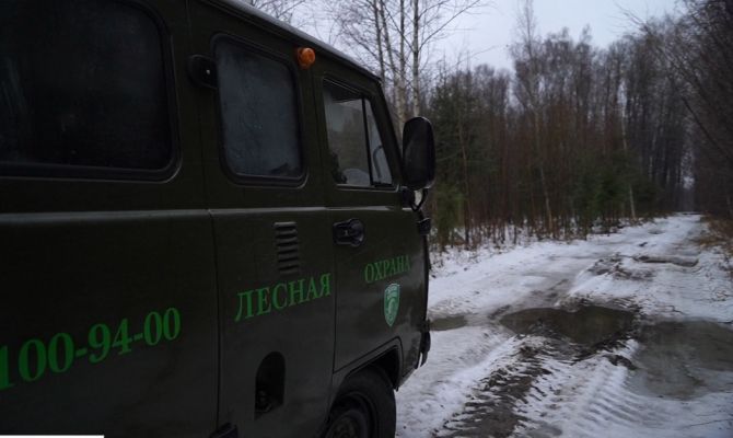 Как тульские лесники перед Новым годом выслеживают любителей бесплатных елок