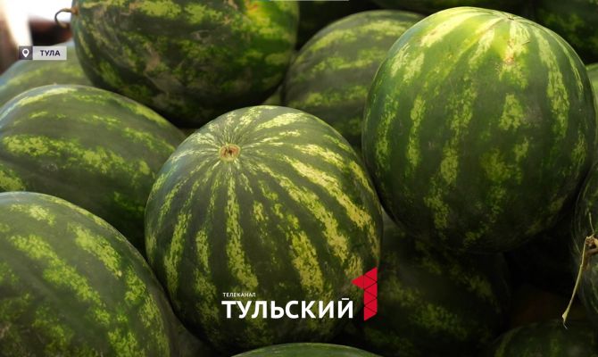 В Туле начали продавать первые арбузы: контрольная закупка от "Первого Тульского"