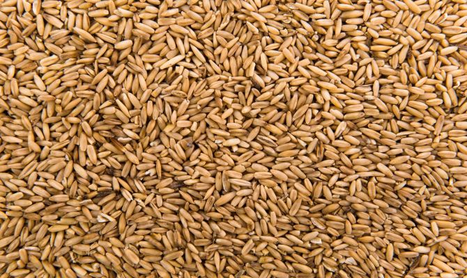 Декларацию тульского предприятия на 11 тысяч тонн зерна признали недействительной