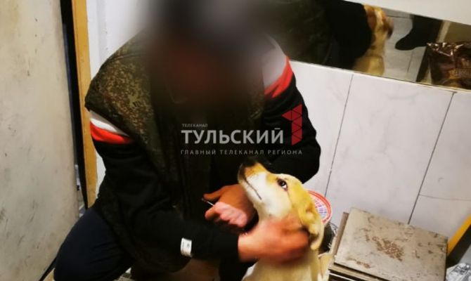 Туляки бьют тревогу из-за запертой в гараже собаки: что происходит на самом деле
