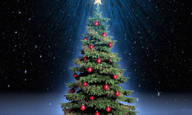 Жителей Заокского Тульской области приглашают на Новогодние и Рождественские елки