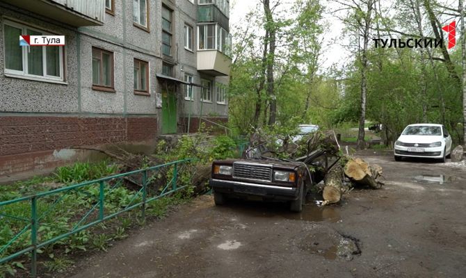 Бурелом на улицах Тулы: кто не справился с последствиями апрельской метели