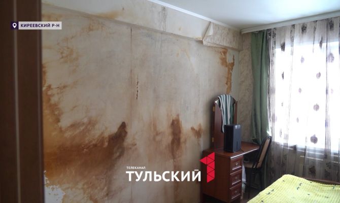 В Болохово квартира превратилась в тропические джунгли из-за текущей крыши