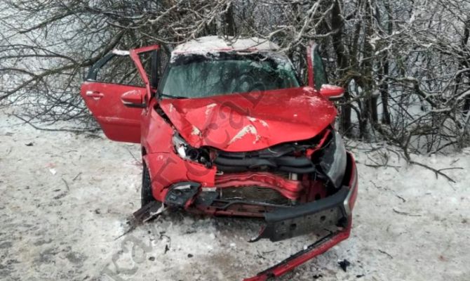 В Белевском районе иномарка съехала в кювет и врезалась в дерево