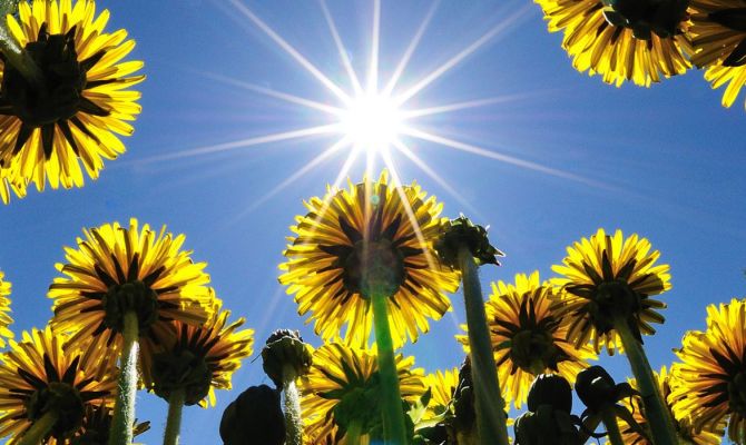 Синоптики рассказали, когда вернется летняя погода