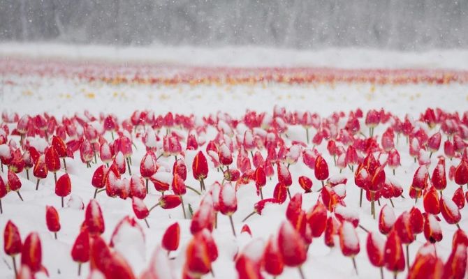 До -32: погода 8 марта в записях метеорологов