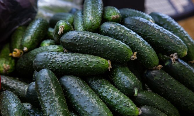 За неделю в Тульской области подорожали огурцы и подешевела водка