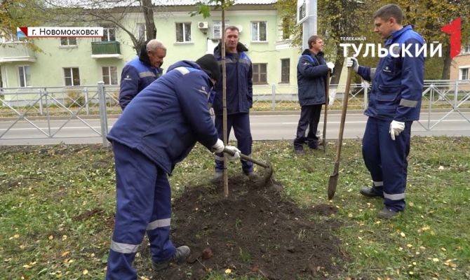 «Новомосковск – дыши!»:  в городе химиков появилась новая кленовая аллея