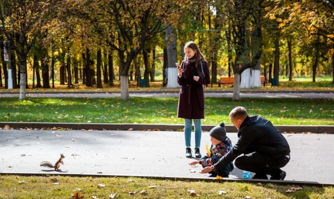 Туляков ждет короткая рабочая неделя