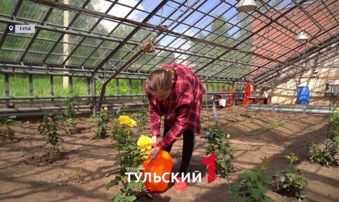 Для терапии душевнобольных в Маслово разбили теплицу
