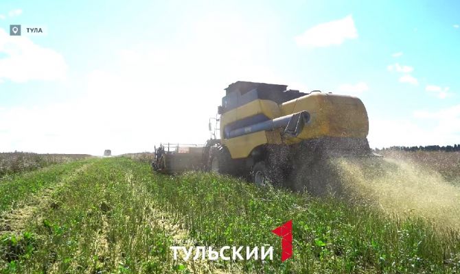 Сбор семян в Тульской области увеличился в три раза 