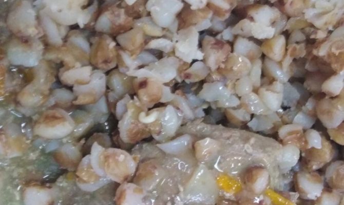 Комитет по образованию Новомосковска прокомментировал инцидент с опарышами в школьной столовой