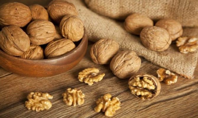 Ученые рассказали о пользе грецких орехов