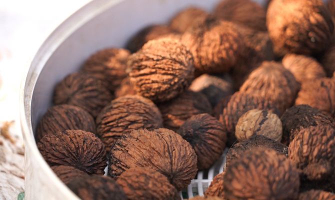 29 августа туляки отметят последний Спас – ореховый