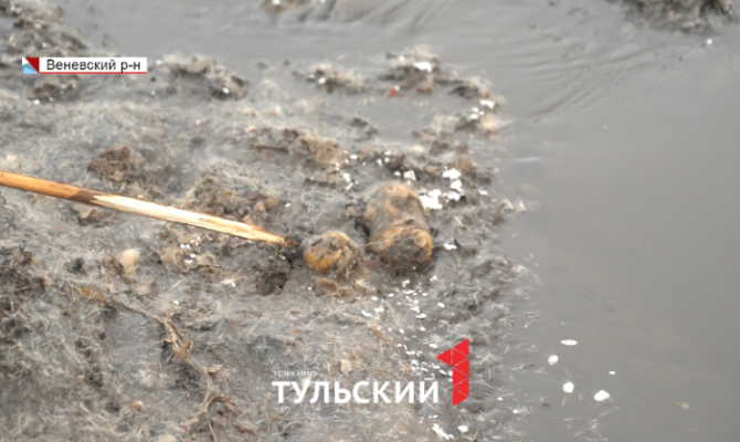 «Аварийная ситуация»: прокуратура ищет виновника помутнения притока р.Осетр