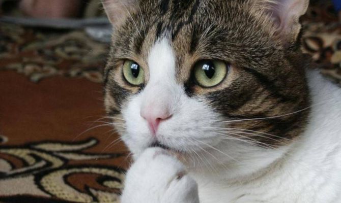 Минздрав рассказал, как сменить пол