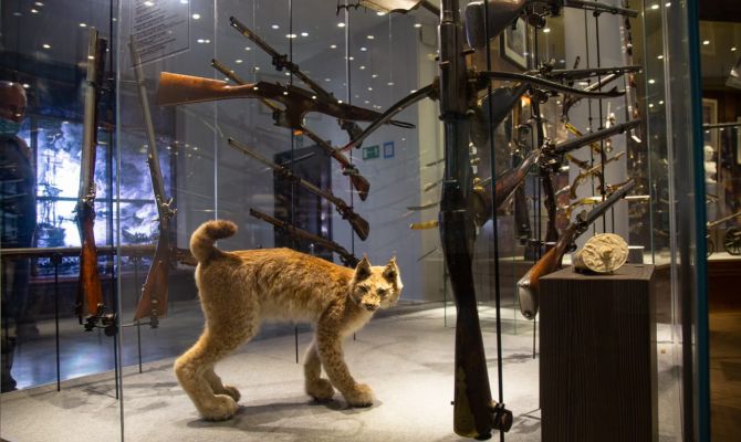 Тульский музей оружия проведет «Неделю студенчества»