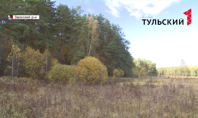 Кто поможет жителям Тульской области не заблудиться в лесу