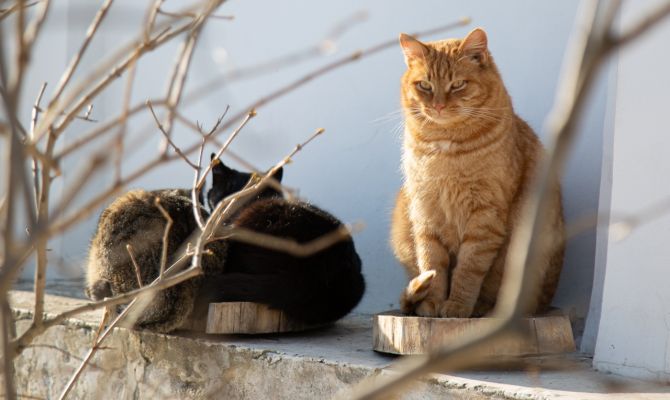 Синоптики рассказали о погоде в Туле в первые апрельские выходные