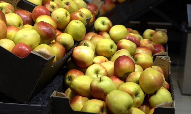 Рост цен на бананы в России может привести к подорожанию яблок и цитрусовых