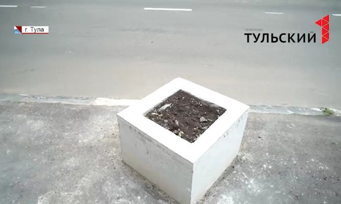 Детектив с ароматом роз: что грозит за кражу цветов из клумбы