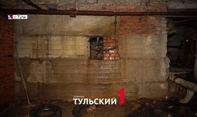 В подвале тульской многоэтажки выросли грибы