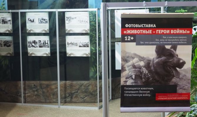Туляков и гостей города приглашают на фотовыставку «Животные - герои войны»