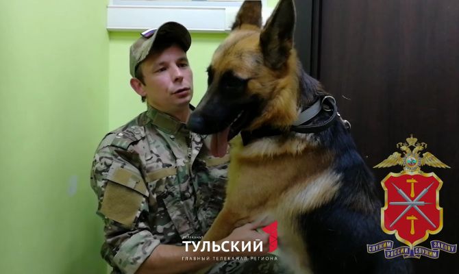 Пес Байкал из зоны СВО пройдет курс дрессировки в Тульской области