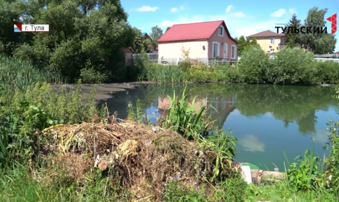 В Туле погибает пруд из-за стоков в поселке Молодежный