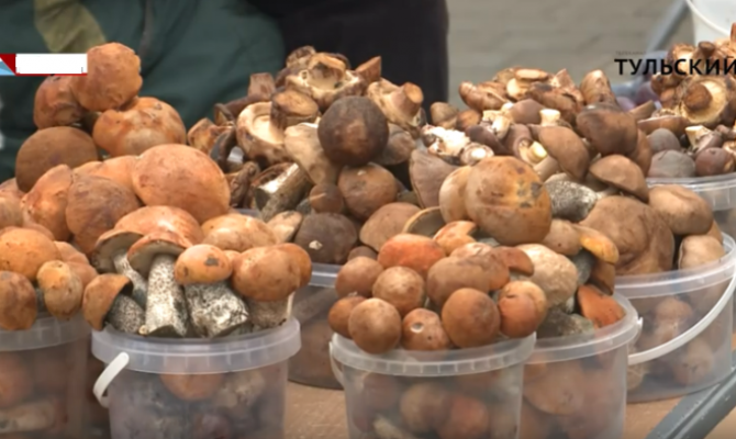 Эксперты назвали оптимальную для здоровья порцию грибов 