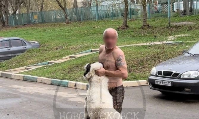 После нападения алабая на семью с ребенком в Новомосковске возбудят уголовное дело