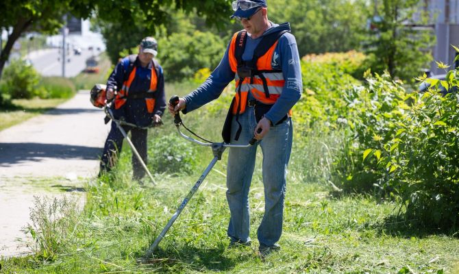 Покос травы: куда тулякам обращаться за помощью