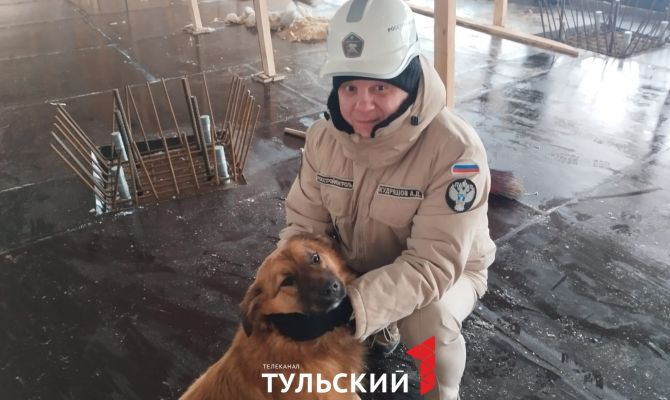 У моста через Упу в Туле появился живой талисман