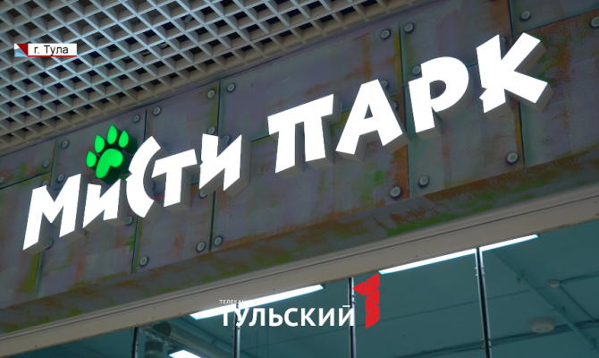 В тульском "Мисти Парке" 7-летняя девочка упала с 3-метровой высоты
