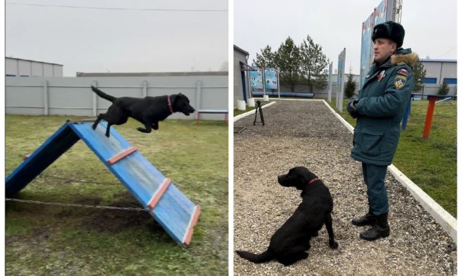 Назван самый милый сотрудник МЧС Тулы