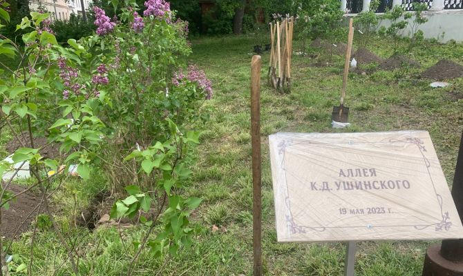 Территорию педуниверситета в Туле украсили кусты сирени и жасмина