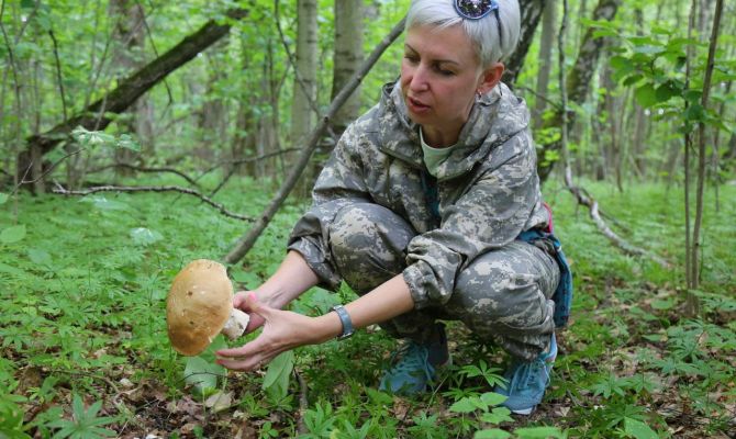 Стало известно, по каким признакам можно определить грибные места