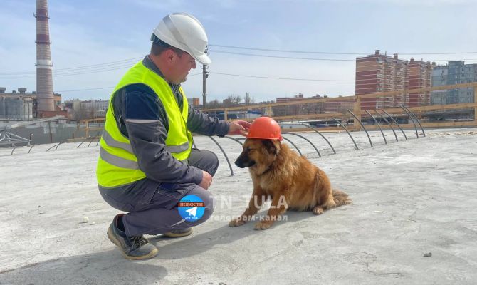 Что будет с талисманом моста через Упу - собакой Жюльеттой, когда стройка закончится